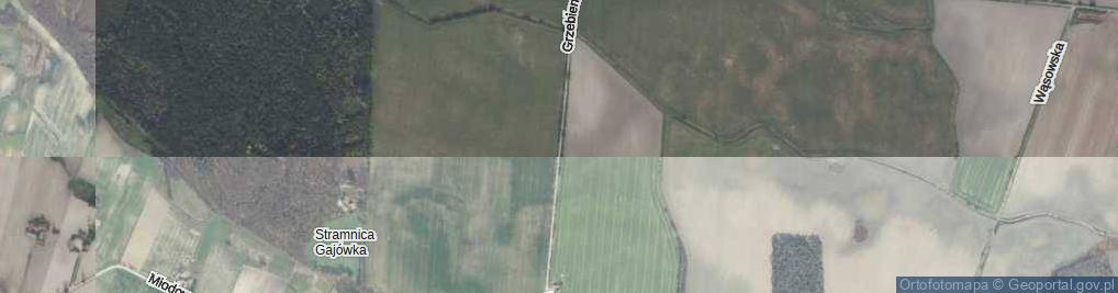 Zdjęcie satelitarne Grzebieniska ul.